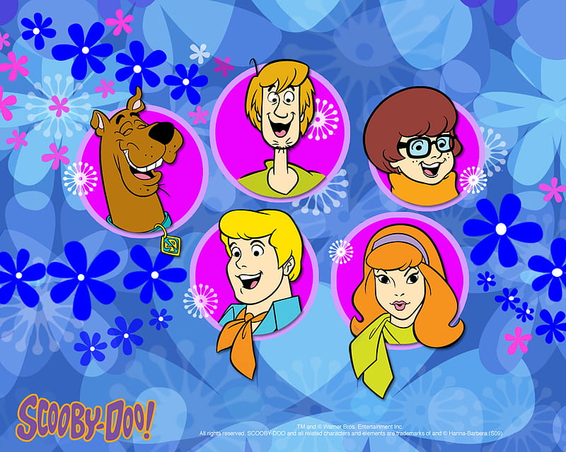 Faces of Scooby Doo, faces, shaggy, velma, flowers, scooby doo, HD wallpaper