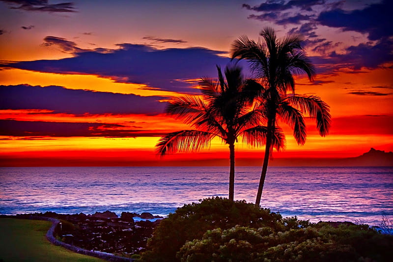 Hawaiian Sunset, clouds, sky, palms, beach, colors, sea, HD wallpaper