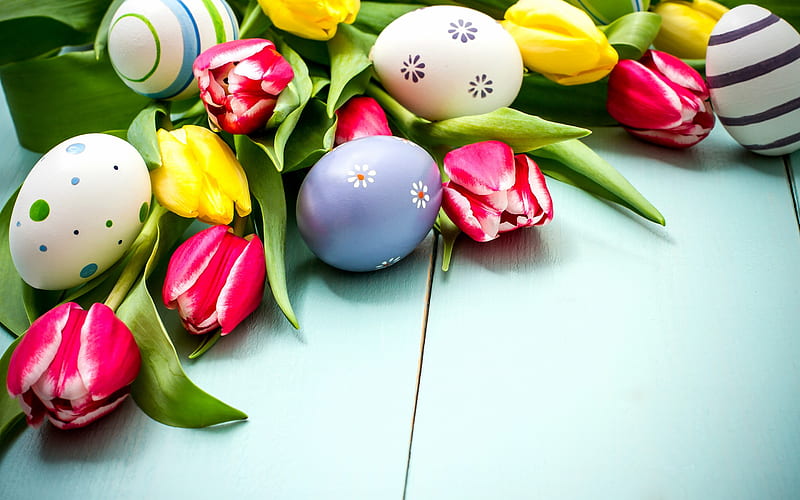 Happy Easter, eggs, pink tulips, spring flowers, spring, Easter, HD ...