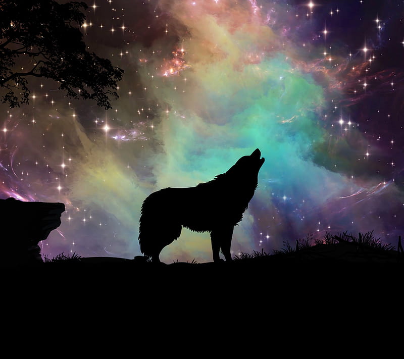 wolf, android, bw, color, honor, huawei, ios, iphone, lg, meizu, minimal, nokia, note, oppo, graphy, samsung, sony xiaomi, HD wallpaper