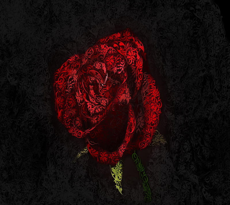 Red Rose, HD wallpaper | Peakpx