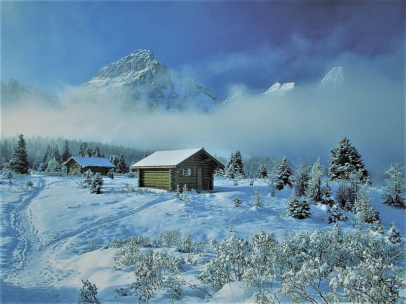 Fog in winter, cabins, blue, winter, fog, HD wallpaper | Peakpx