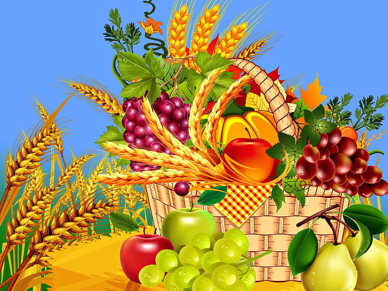 Harvest Season, Fruits, Harvest, Basket, Autumn, HD wallpaper
