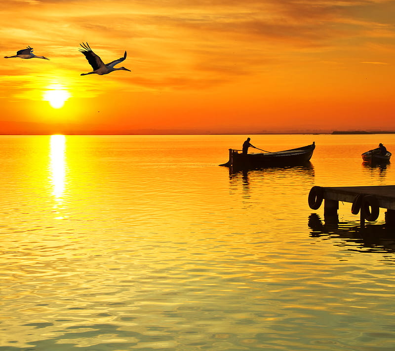 Sunrise, birds, boats, fishing, nature, sea, HD wallpaper