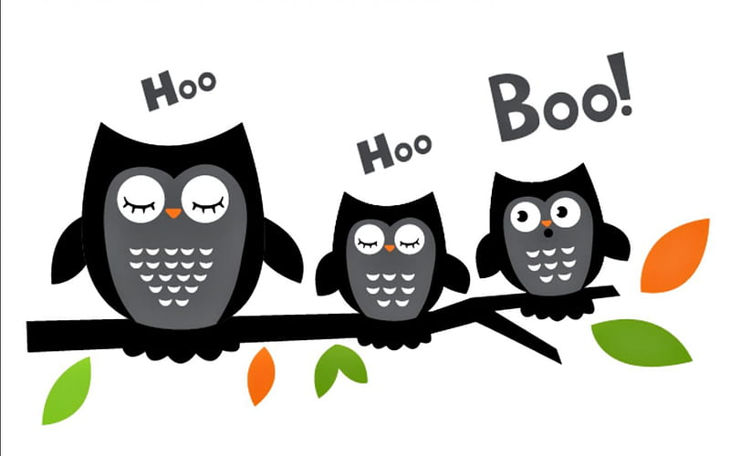 Hoo hoo boo!, owl, orange, halloween, black, branch, word, cute, green, bird, white, vector, HD wallpaper