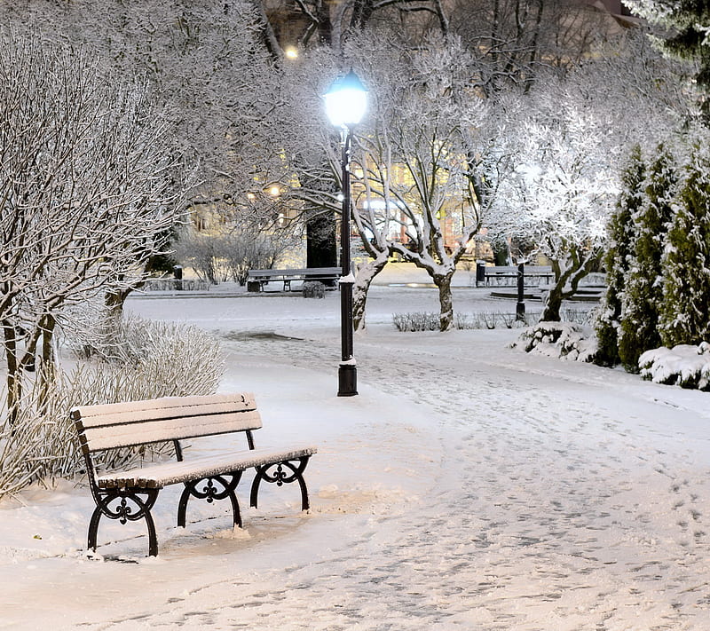 Winter Park, bench, night, park, snow, white, winter, HD wallpaper