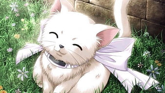 Lexica  white cat anime hd realistic