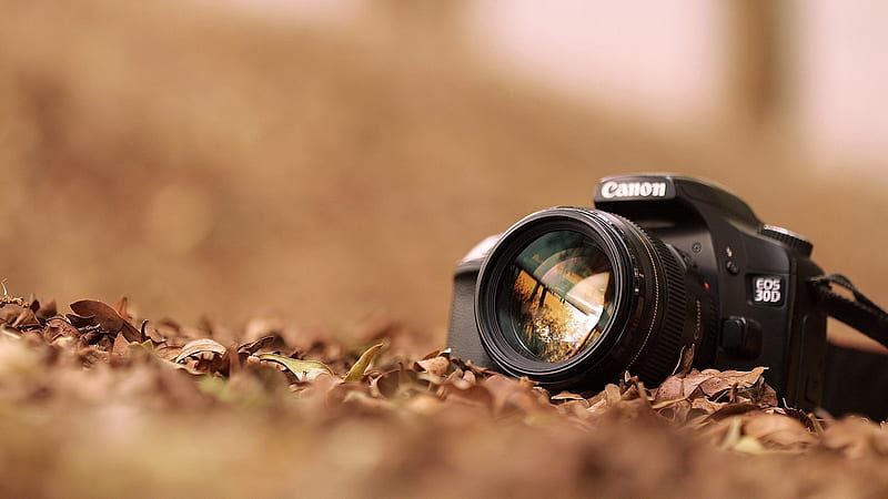 Canon EOS 3D, canon, camera, graphy, HD wallpaper