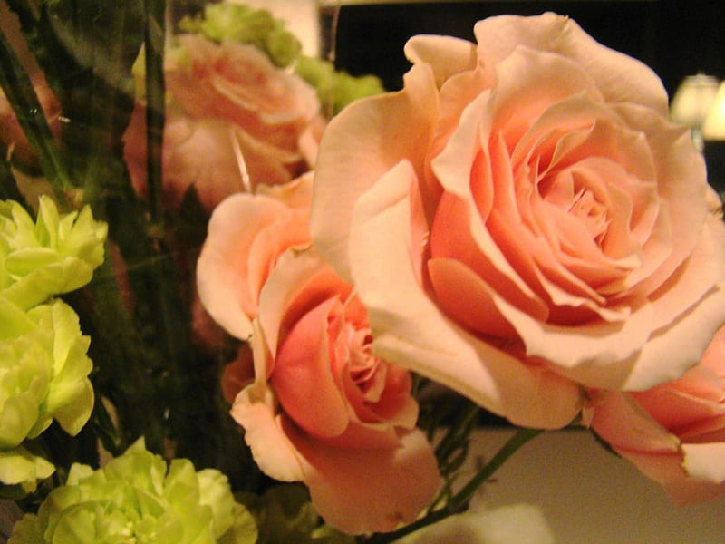 still life, flowers, bouquet, pink roses, HD wallpaper