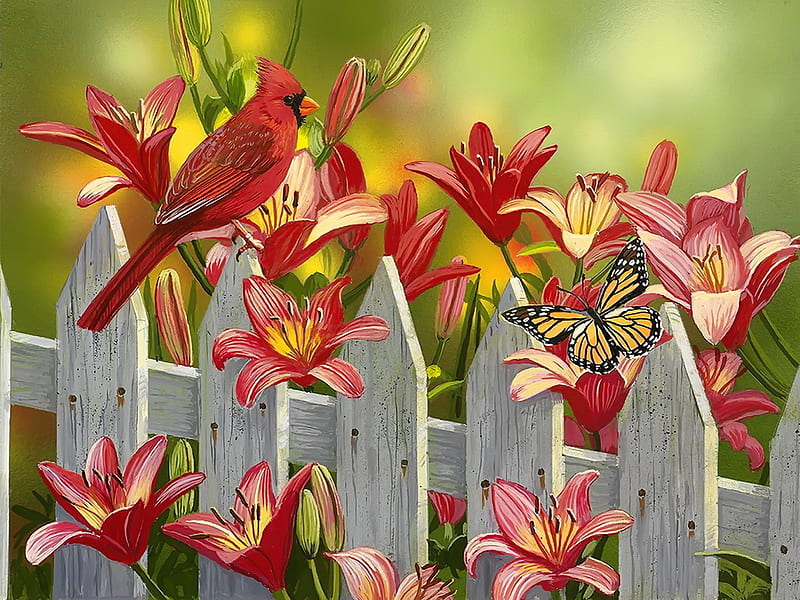 Cardinal and lilies, pretty, fence, art, colorful, lilies, spring, butterfly, bird, garden, flowers, cardinal, HD wallpaper