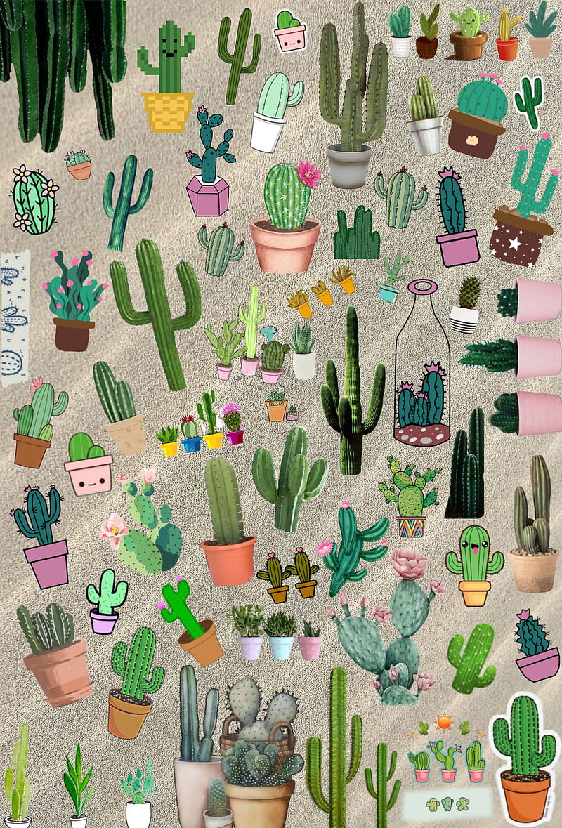 Cactus, desenho, floral, flower, HD phone wallpaper | Peakpx