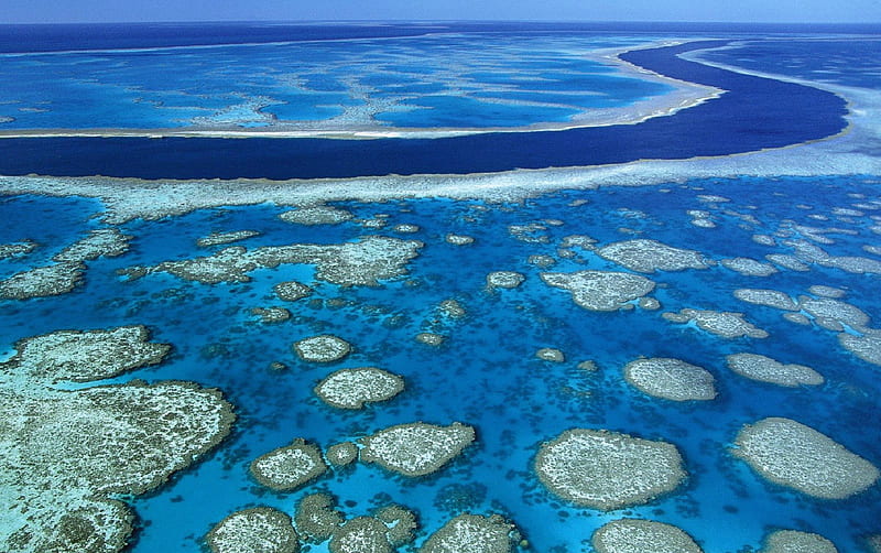 Australia's Great Barrier Reef, beauty, coral, nature, reefs, HD wallpaper