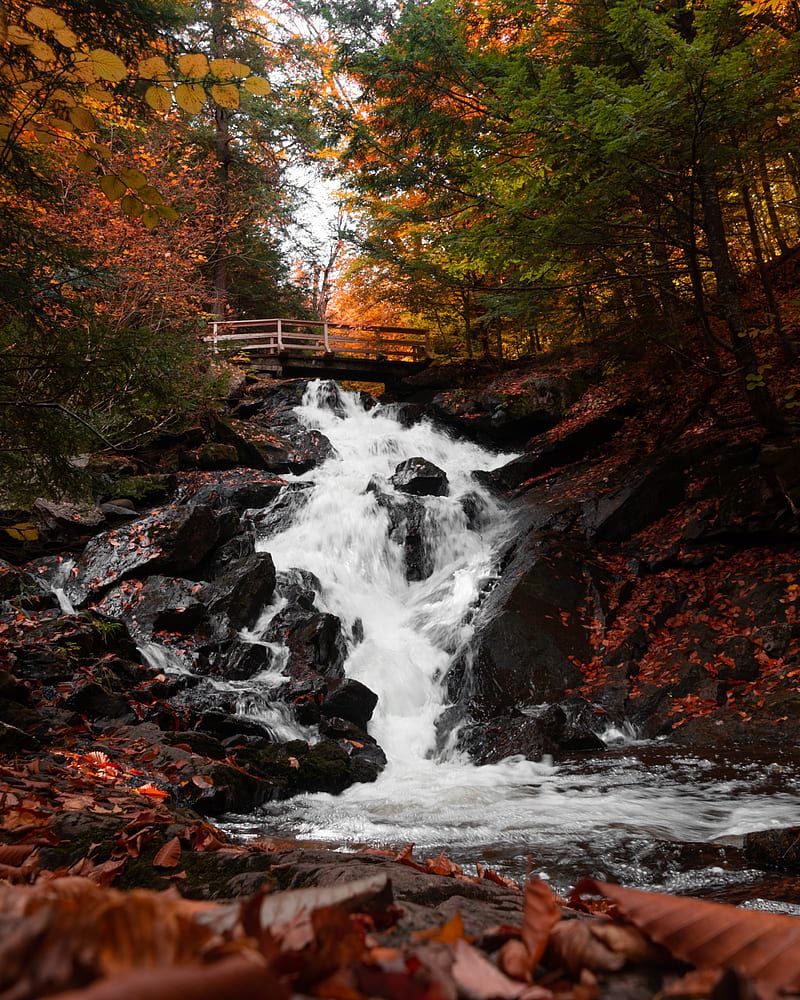 waterfall, bridge, autumn, HD phone wallpaper