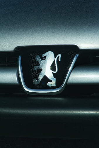 Lion Cars - Logo & Visual identity / Photography / Web :: Behance