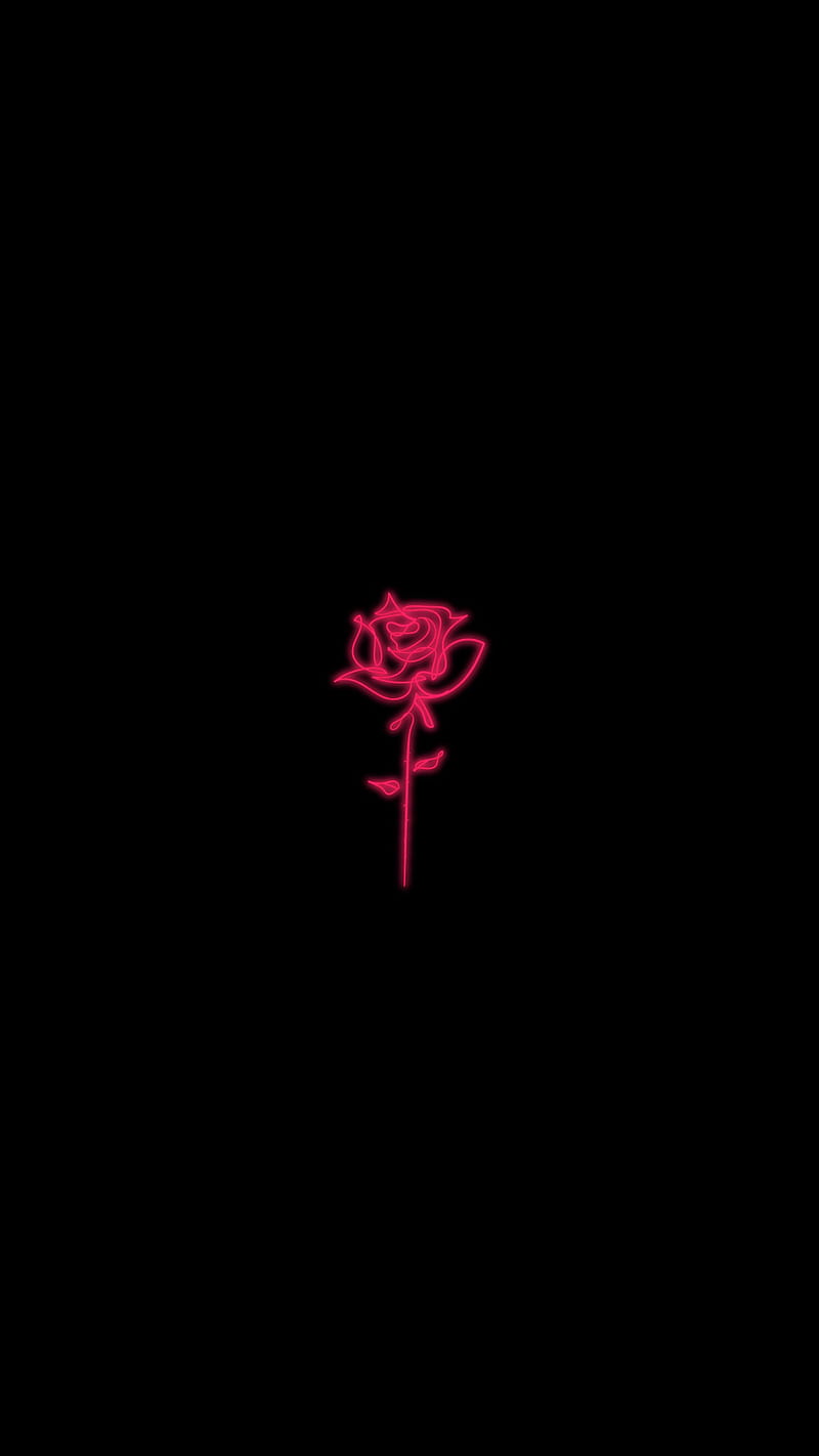 Roseblack, black, rose, HD phone wallpaper | Peakpx