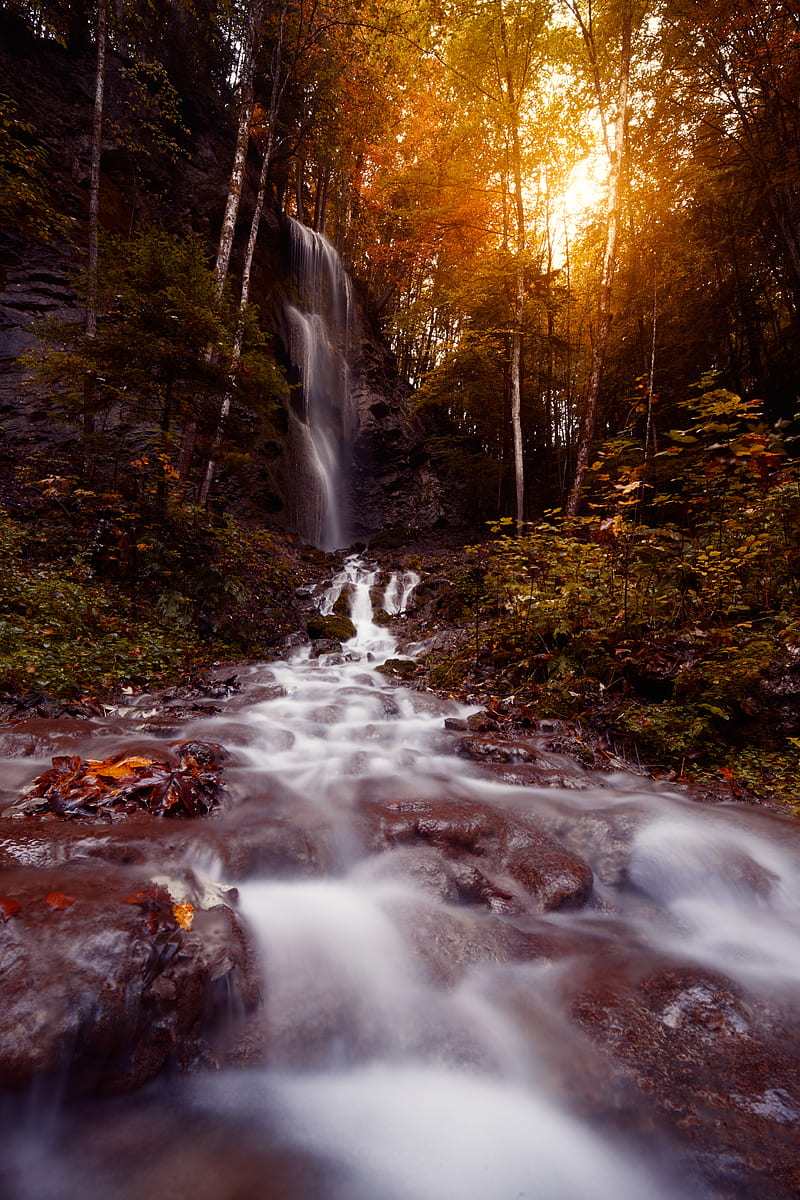 waterfall, stream, water, stones, trees, HD phone wallpaper
