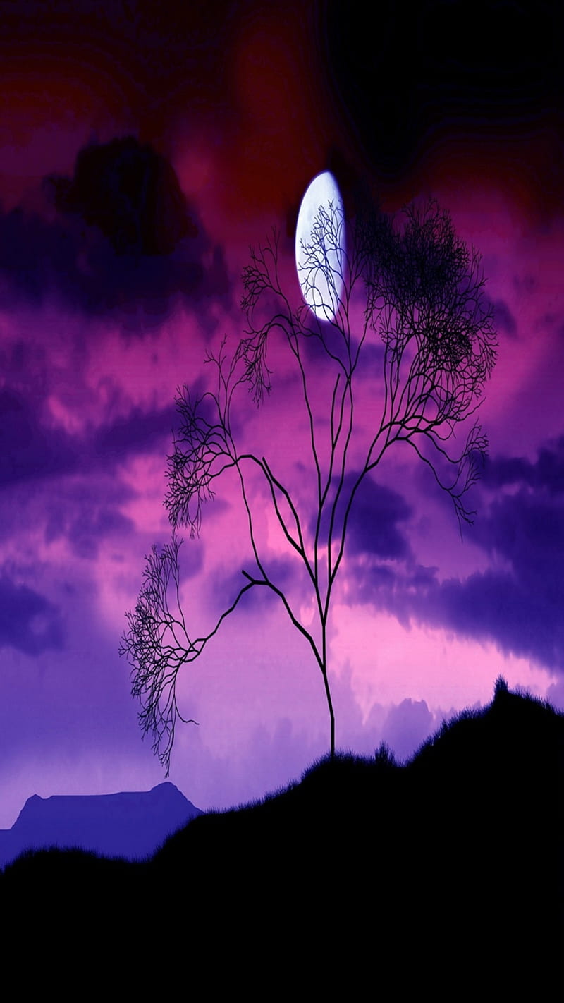 Full moon, bonito, calm, colors, good, nature, night, scene, sky ...