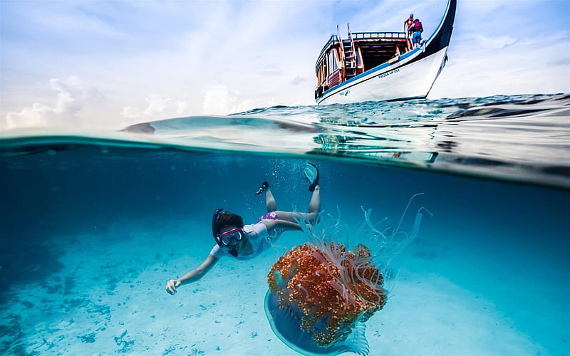 boat, girl diver, medusa, sea, underwater world, diving, HD wallpaper