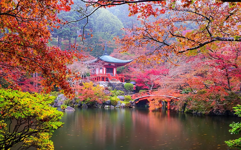 Daigoji Buddhist Temple , Kyoto , japan, Asia, Forest, Garden, Bridge, Lake, Religion, Autumn, HD wallpaper