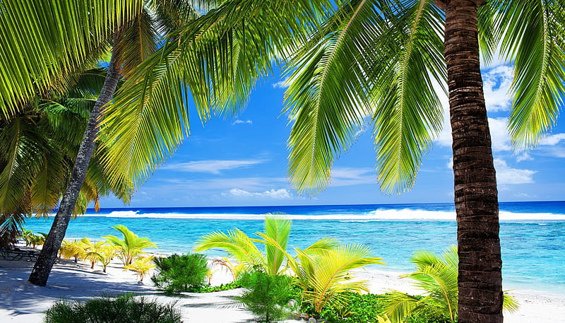Dominicana, shore, bonito, sea, beach, tropics, rest, vacation, exotic, ocean, relax, waves, sky, palms, paradise, summer, sands, HD wallpaper