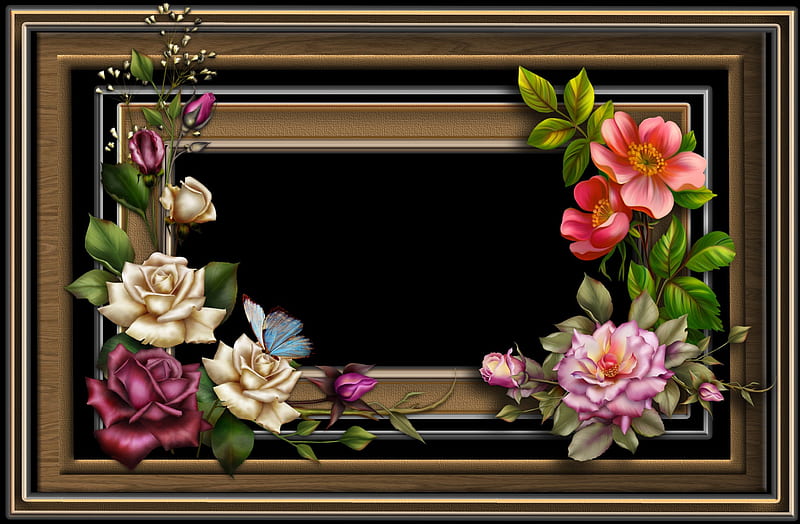 ✫Frame Scented Roses✫, pretty, bonito, elements, butterfly, stock , 3D and CG, clipart, flowers, lovely flowers, butterfly designs, animals, lovely, love four seasons, creative pre-made, roses, cute, weird things people wear, png frames, HD wallpaper