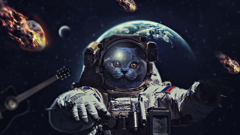 space cats wallpaper iphone