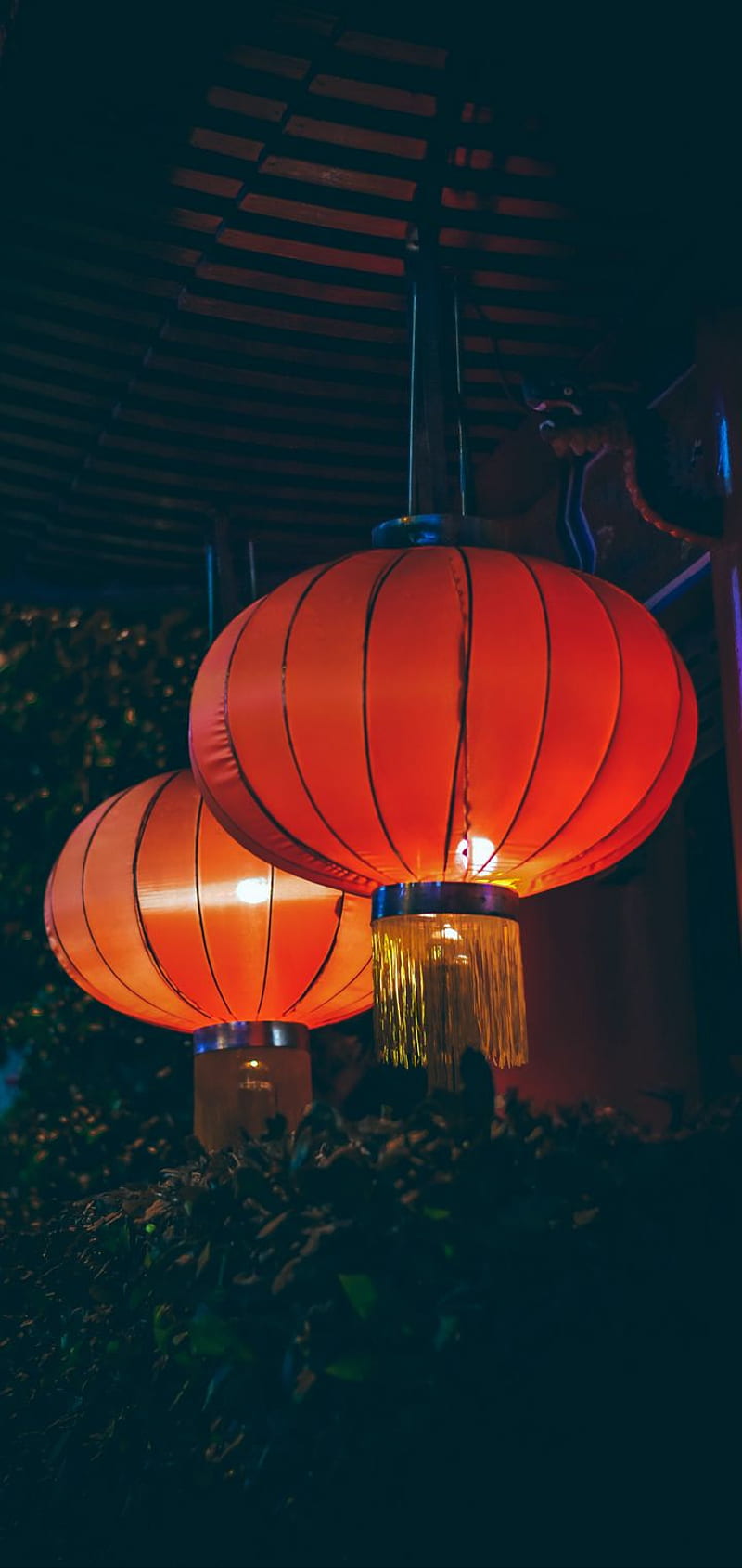 Chinese lantern, chinese, chinese decorations, chinese new year, cny, festival, gong xi fa cai, lantern, HD phone wallpaper