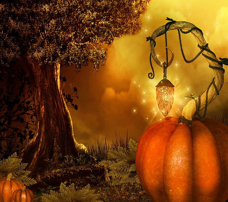 Pumkin Halloween, HD wallpaper