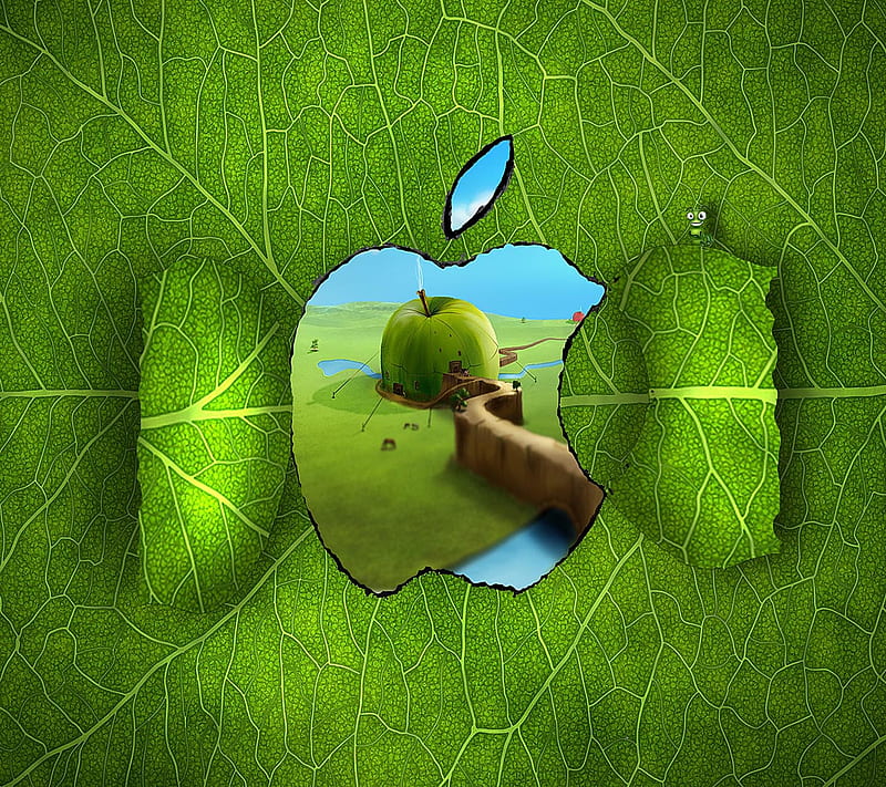 Apple Logo Window, look, nice, HD wallpaper