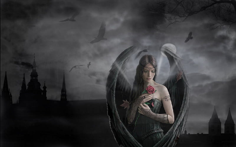 GOTHIC ANGEL 3, Black Beautiful, Rose, Fantasy, dark, Angel, Moon, Church, Gothic, Night, HD wallpaper