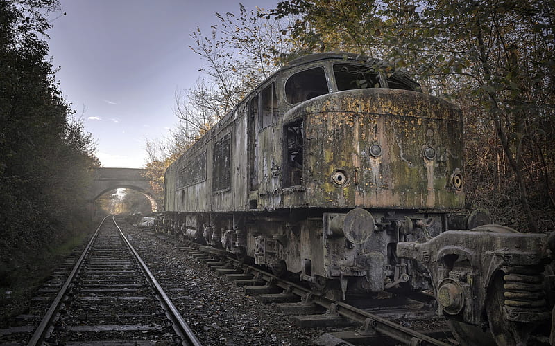 old rusty train, abandoned train, rails, morning, fog, old train, HD wallpaper