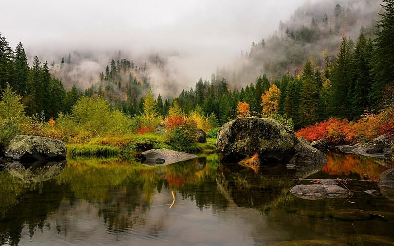 Foggy Mountains, red, forest, fall, yellow, leaves, water, green, mountains, pine trees, nature, reflection, mists, HD wallpaper