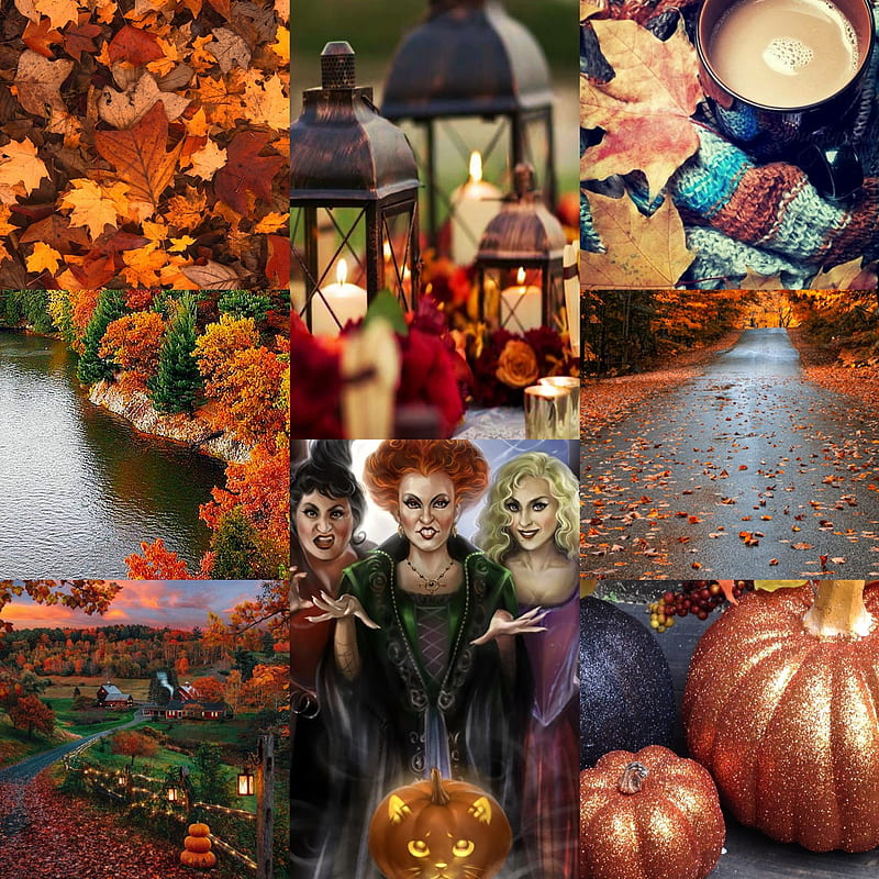 Halloween , autumn, fall, hocus-pocus, nature, pumpkins, witches, HD phone wallpaper
