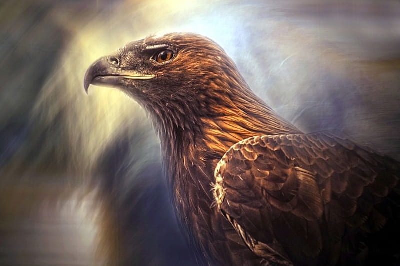 Golden Eagle, wings, raptor, mighty, portrait, artwork, HD