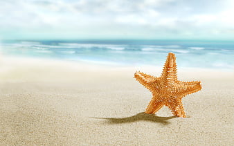 Starfish Wallpapers APK for Android Download