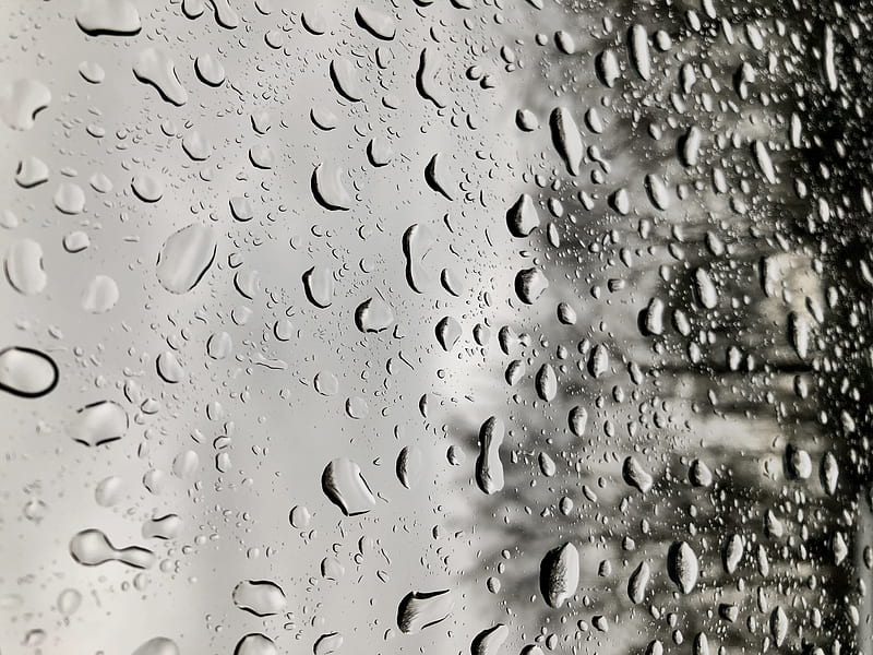 drops, rain, moisture, glass, window, surface, HD wallpaper