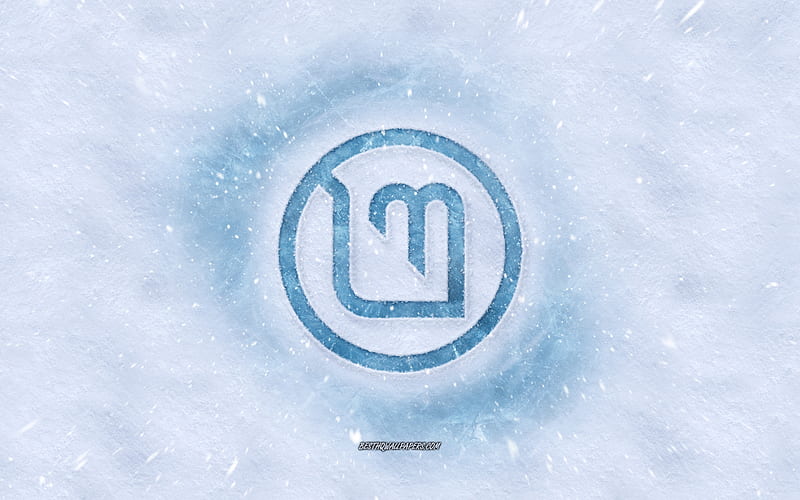 Linux Mint logo, winter concepts, snow texture, snow background, Linux Mint emblem, winter art, Linux, HD wallpaper