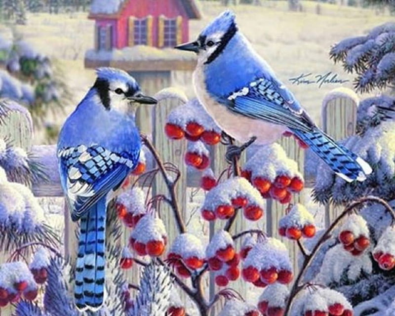 Winter Blue Jays, holidays, love four seasons, birds, xmas and new year, winter, paintings, snow, berries, animals, HD wallpaper