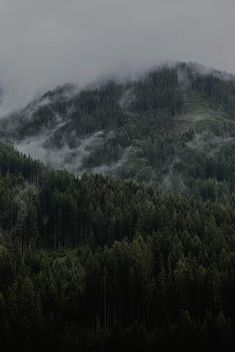 House, trees, mountain, slope, forest, building, HD phone wallpaper ...