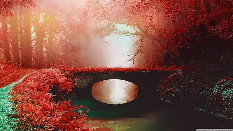 Red Beautiful Love Natue, Red nature, bonito, Delicate, Bridge, River, Love place, Natue, Flower, HD wallpaper
