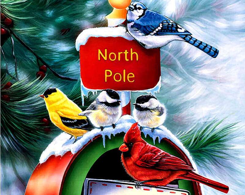 North Pole FC, art, bonito, illustration, artwork, animal, winter, chickadees, bird, snow, avian, painting, wide screen, wildlife, blue jay, goldfinch, cardinal, HD wallpaper