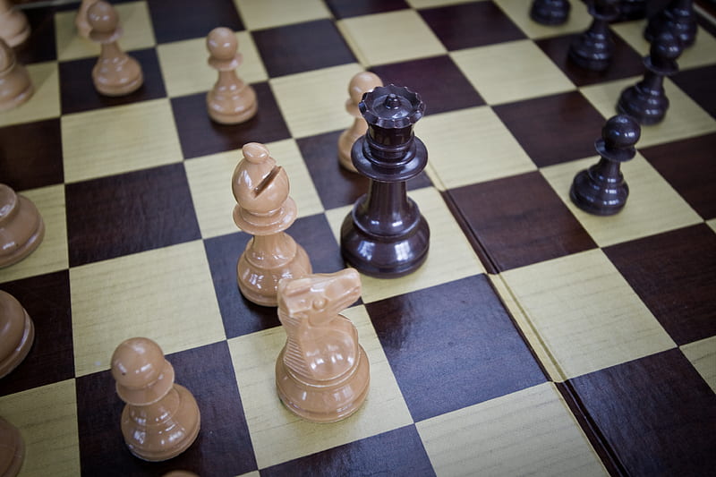 chess, game, board, pieces, HD wallpaper
