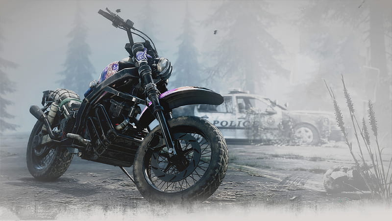 Days Gone 2019 Video Game , days-gone, 2019-games, games, HD wallpaper