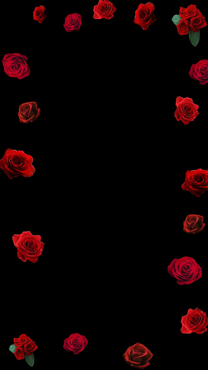 Rose love, red, black, cool, epic, corner, awesome, HD phone wallpaper