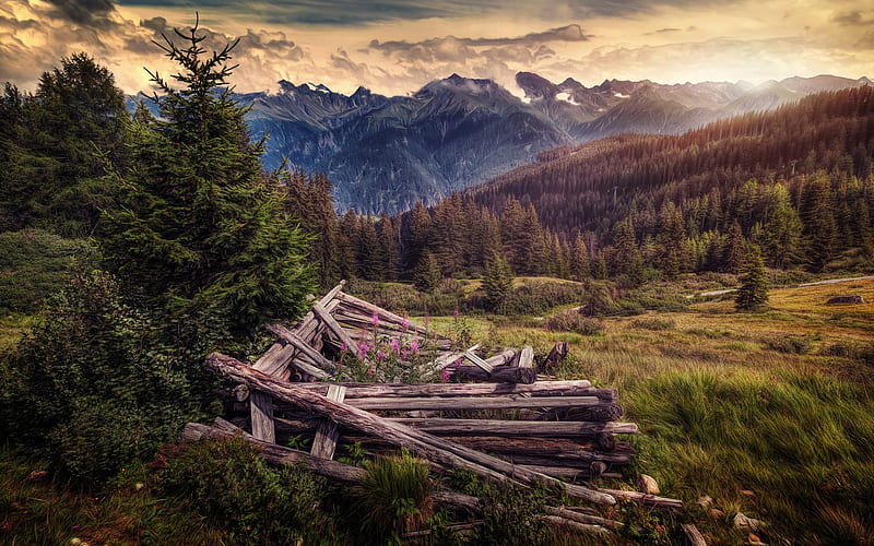 Mountain landscape, sunset, forest, mountain valley, Serfaus, Tyrol, Austria, HD wallpaper