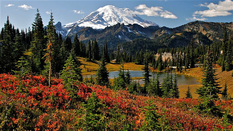 Mt. Rainier in autumn, Washington national park, pines, mountains, lake, HD wallpaper