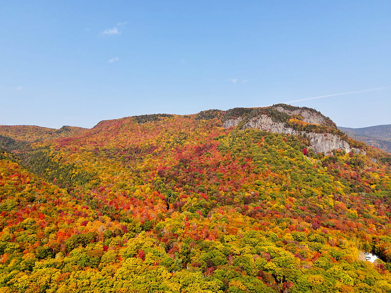 rocks, autumn, trees, forest, HD wallpaper