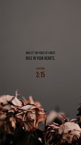 Let Christ rule, aesthetic christian, christian, cute christian, inspiration, jesus, king of kings, luvujesus, os, young christian, HD phone wallpaper