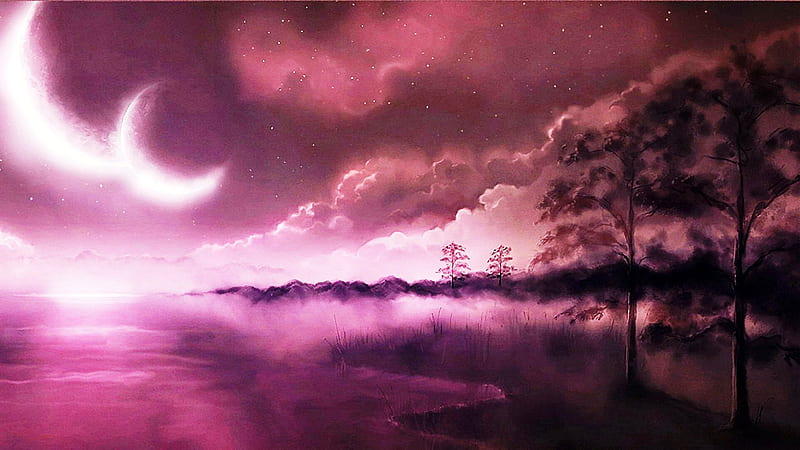Purple Dawn, planets, grass, 3d and cg, background, fog, nice, multicolor, paisage, wood, art, dawn, purple, moonlight, violet, white, bonito, leaves, araucaria, smoke, scenery, night, reflex, horizon, lakes, customized, bri, mist, paisagem, dark, nature, misty, reflected, branches, pc, scene, foggy, clouds, cenario, scenario, beauty, forests, moons, , paysage, cena, black, trees, pines, sky, abstract, panorama, water, cool, awesome, computer, hop, landscape, colorful, trunks, graphy, haze, darkness, grove, mirror, pink, stars, amazing, multi-coloured, view, magenta, colors, leaf, universe, colours, reflections, natural, HD wallpaper