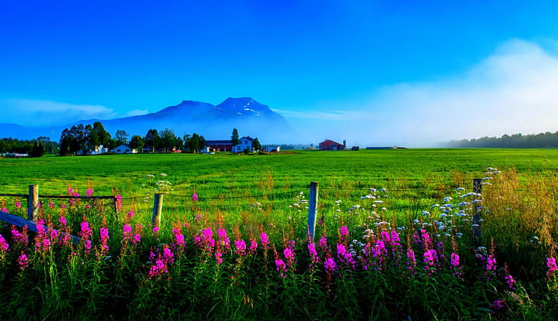 Beautiful scenery, fence, distance, pure relaxation, grasss, bonito, flowers, beauty, scenery, pink, grenn, view, fresh, houses, peace, country, sky, trees, purple, mountains, air, wire, nature, field, HD wallpaper